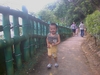 Filename=IMAGE_022.jpg
Filesize=214KiB
Dimensions=1280x960
Date added=May 31, 2008 IMAGE_022.jpg