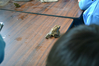 Filename=DSC_8847.JPG
Filesize=638KiB
Dimensions=1024x683
Date added=Mar 13, 2013 DSC_8847.JPG