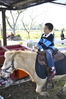 Filename=_DSC0045.jpg
Filesize=276KiB
Dimensions=680x1024
Date added=Feb 05, 2011 _DSC0045.jpg