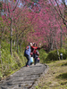 Filename=P1010443.JPG
Filesize=1642KiB
Dimensions=768x1024
Date added=Feb 03, 2014 P1010443.JPG
