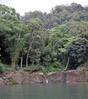 Filename=DSC_4373.JPG
Filesize=1174KiB
Dimensions=907x1024
Date added=May 25, 2014 DSC_4373.JPG