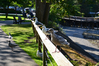 Filename=1030617-38.JPG
Filesize=866KiB
Dimensions=1024x683
Date added=Jun 28, 2014 1030617-38.JPG
