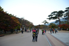 Filename=20151016-133.JPG
Filesize=636KiB
Dimensions=1024x683
Date added=Oct 21, 2015 20151016-133.JPG