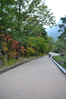 Filename=20151016-151.JPG
Filesize=1048KiB
Dimensions=683x1024
Date added=Oct 21, 2015 20151016-151.JPG
