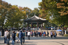 Filename=20151017-015.JPG
Filesize=1092KiB
Dimensions=1024x683
Date added=Oct 21, 2015 20151017-015.JPG