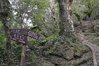 Filename=060.jpg
Filesize=497KiB
Dimensions=1024x683
Date added=Mar 07, 2011 060.jpg