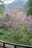Filename=136.jpg
Filesize=568KiB
Dimensions=683x1024
Date added=Mar 07, 2011 136.jpg