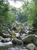 Filename=DSCF5017.JPG
Filesize=879KiB
Dimensions=768x1024
Date added=Oct 16, 2011 DSCF5017.JPG