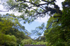 Filename=DSC_5360.JPG
Filesize=3318KiB
Dimensions=2048x1365
Date added=Jun 30, 2012 DSC_5360.JPG
