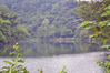 Filename=DSC_5459.JPG
Filesize=2249KiB
Dimensions=2048x1365
Date added=Jun 30, 2012 DSC_5459.JPG