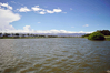 Filename=DSC_5711.jpg
Filesize=534KiB
Dimensions=1024x683
Date added=Jul 28, 2012 DSC_5711.jpg