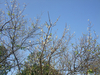 DSCF5358.JPG