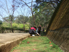 DSCF5372.JPG