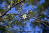 DSC_8033.JPG