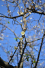 DSC_8037.JPG
