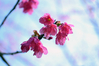 DSC_8129.JPG