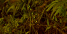 Filename=DSC_9339.JPG
Filesize=597KiB
Dimensions=1024x520
Date added=Apr 18, 2013 DSC_9339.JPG