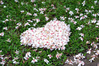Filename=DSC_9348.JPG
Filesize=1031KiB
Dimensions=1024x683
Date added=May 05, 2013 DSC_9348.JPG