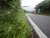 Filename=P1000270.JPG
Filesize=1453KiB
Dimensions=2048x1536
Date added=Jun 09, 2013 P1000270.JPG
