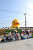 Filename=DSC_1634.JPG
Filesize=1243KiB
Dimensions=1365x2048
Date added=Oct 26, 2013 DSC_1634.JPG