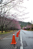 Filename=DSC_2117.JPG
Filesize=959KiB
Dimensions=683x1024
Date added=Feb 16, 2014 DSC_2117.JPG