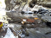 Filename=20140228_122148.jpg
Filesize=829KiB
Dimensions=1024x768
Date added=Mar 01, 2014 20140228_122148.jpg