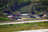 Filename=DSC_7345.JPG
Filesize=989KiB
Dimensions=1024x683
Date added=Jul 05, 2016 DSC_7345.JPG