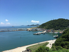 Filename=IMG_4815.JPG
Filesize=808KiB
Dimensions=1024x768
Date added=Jul 05, 2016 IMG_4815.JPG