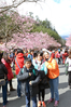 Filename=DSC_7547.JPG
Filesize=1028KiB
Dimensions=683x1024
Date added=Feb 15, 2017 DSC_7547.JPG