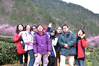 Filename=DSC_7617.JPG
Filesize=869KiB
Dimensions=1024x683
Date added=Feb 15, 2017 DSC_7617.JPG