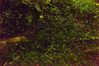 Filename=3.jpg
Filesize=2918KiB
Dimensions=2048x1365
Date added=May 04, 2017 3.jpg