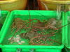 DSCN8277.JPG