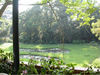 Filename=70-DSCN0653.jpg
Filesize=207KiB
Dimensions=1024x768
Date added=Oct 03, 2006 70-DSCN0653.jpg