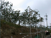 Filename=1024-DSCN2390.jpg
Filesize=209KiB
Dimensions=1024x768
Date added=Oct 28, 2007 1024-DSCN2390.jpg