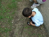 Filename=DSCF0667.JPG
Filesize=603KiB
Dimensions=1600x1200
Date added=Jun 07, 2008 DSCF0667.JPG