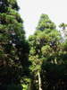 DSCF4073.jpg