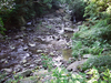 DSCF4085.jpg